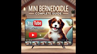 Mini Bernedoodle  Complete guide [upl. by Ateloiv797]