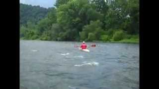 Phoenix Rises  Phoenix Match II Downriver Racing Kayak [upl. by Odradlig]