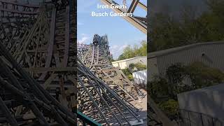 Iron Gwazi at Busch Gardens Tampa [upl. by Leschen781]