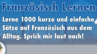 Lerne Französisch 1000 Sätze aus dem Alltag auf Französisch für Beginner [upl. by Melba]