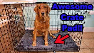 Best Dog Crate Pad from Amazon [upl. by Aylmar782]