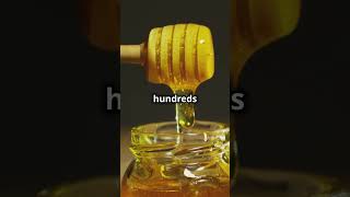 Unbelievable Honey Bee Secrets Revealed facts animalfacts [upl. by Semadar]