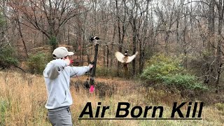 BOW HUNTING PHEASANTS Air kill bonus blowgun kill [upl. by Rosenthal412]