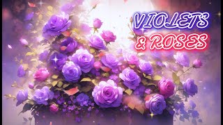 Violets amp Roses [upl. by Karlin149]