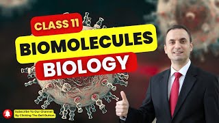 Biomolecules Class 11 Biology  Protiens  Lipids  Important Questions  CBSE  NCERT  NEET  CUET [upl. by Llednohs]