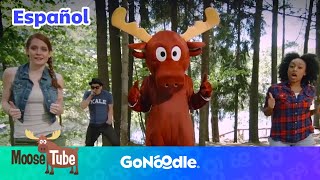 AMooseTaCha  Actividades Para Niños  Baila junto  GoNoodle [upl. by Janenna]