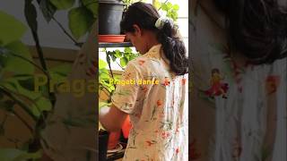 Agaro food dehydrator pavithralifestyle shorts shortsfeed vlog diml [upl. by Crawley]