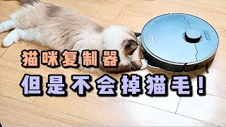 超级宠物伴侣！追觅X40 Pro居然这么好用？ [upl. by Eentirb]