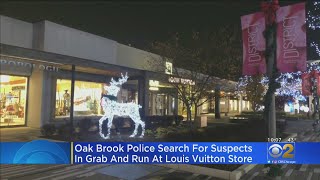 Oak Brook Police Search For Suspects In GrabAndRun At Louis Vuitton Store [upl. by Veejar271]