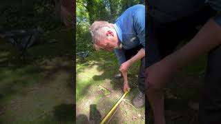 Miles tying up the quadrats Woodland and Wellbeing Project Pil Woods 12 Aug 2024 [upl. by Ecilahs]