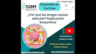 ¿Por qué las drogas causan adicción explicación bioquímica [upl. by Ganiats528]