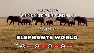 Episode 29 Creatures of Earth I Elephant World I AscendopusWorld [upl. by Harley]