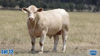 Lot 12 MOUNT WILLIAM TRAWALLA AI P BS 22T24E [upl. by Nyltiak107]