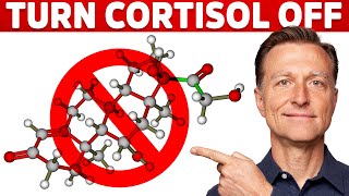 Why Its Hard To Turn Stress Cortisol Off – Dr Berg [upl. by Hyrup]