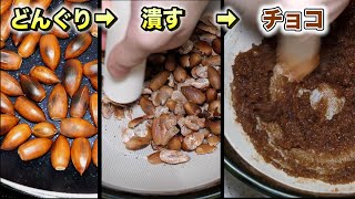 ドングリからチョコレート作ってみた【ENG SUB】 [upl. by Glynda799]