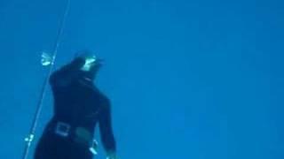 Freedive Blue Hole [upl. by Irak]