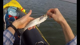 In Shore Tenkara fishing St Petersburg Florida  Feb 2018 [upl. by Domineca]