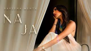 Na Ja  Raveena Mehta  Ysoblue  Official Music Video [upl. by Tikna]