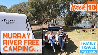 Free Camping NSW  Murray River RV Off Grid Camping [upl. by Benenson]