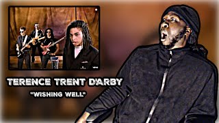 WHO IS THIS MAN FIRST TIME HEARING Terence Trent DArby  Wishing Well Video REACTION [upl. by Alad17]