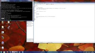 Linux Tutorial StartStop Skript schreiben Shell [upl. by Enomrej]