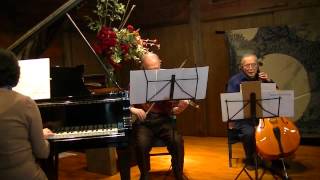 Beethoven piano trio no1 adajio [upl. by Follmer661]