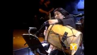 Mercedes Sosa Entre a Mi Pago sin Golpear Festival de Viña 1993 [upl. by Mauretta503]