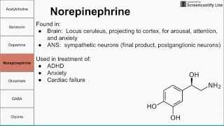 Neurotransmitters of the human body [upl. by Aneerak]