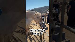 Horse Camp in Poway CA horse horses camp poway california cali beautiful horselover fun [upl. by Lemkul862]