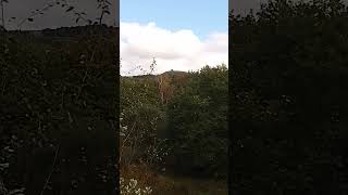 View of Rivington pike from near Liverpool castle Rivington UK wild nature countryside outdoors [upl. by Oaks]