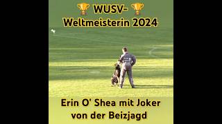 WUSV Weltmeisterin 2024 Erin O Shea mit Joker von der Beizjagd [upl. by Yauqaj313]