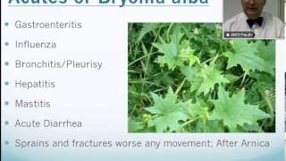 Bryonia Alba Homeopathic Medicine Tips For Beginners [upl. by Nafri957]