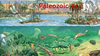 Paleozoic era CambriaPeriod OrdovicianPeriod SilurianDevonian Carboniferous tetrapods [upl. by Legnaesoj]