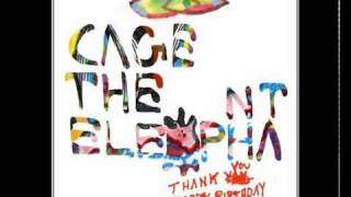 Cage the Elephant Right Before My Eyes Lyrics [upl. by Wilona]