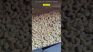 how are these cashews actually prepared cashew viralvideo shorts [upl. by Einra895]