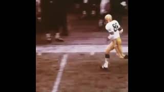 19681215 greenbaypackers  chicagobears Boyd Dowler 72yard TD pass from Zeke Bratkowski nfl [upl. by Sampson22]