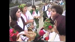 Tardona Szüreti felvonulás 1998 [upl. by Ttoille877]