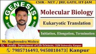 Eukaryotic Translation  Molecular Biology  CSIR NETJRF  Life science [upl. by Cordi747]