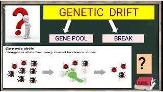 GENETIC DRIFT  BOTTLENECK EFFECT  FOUNDER EFFECT  EXPLAINED IN HINDI [upl. by Lhamaj]