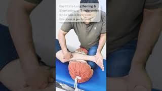 PERONEUS TENDONITIS PAIN RELIEF BY FUNCTIONAL RELEASE TECHNIQUE [upl. by Ettelloc]