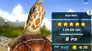 Ace Fishing Wild Catch  Game Câu Cá mà toàn được Rùa [upl. by Sidnak798]