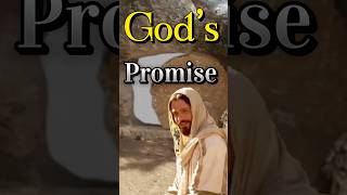 God’s Promise 🕊️Romans 828 KJV 📖 [upl. by Jacy]