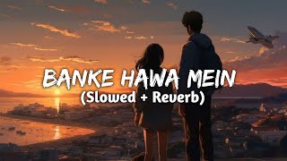 Banke Hawa Mein Bezubaan MeinSlowed and Reverb  Altmash Faridi  SD Songs [upl. by Ydnik]