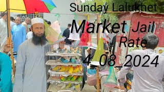 Sunday Lalukhet Market Farhan Birds Youtube Channel [upl. by Etteneg684]