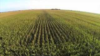 Drones Poised to Elevate Agricultural Efficiency [upl. by Felton]