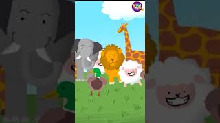 God Created Animals  Animated Christian stories  Kids Faith TV Shorts [upl. by Evie87]