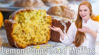 The BEST Lemon Poppy Seed Muffins Recipe EASY amp Delicious Recipe [upl. by Graces]