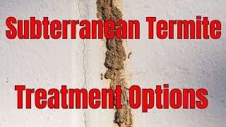 Subterranean Termite Control Treatment Options 🧐 Make the Right Choice for You [upl. by Rebane49]