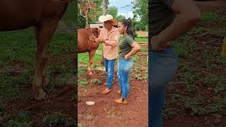 Deu certo fazenda roca vidanaroça sitio nature videoengraçado humor coisasderoca comedia [upl. by Ecahc]