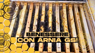 DONA BENESSERE ALLE TUE API grazie allArnia GS [upl. by Milman]